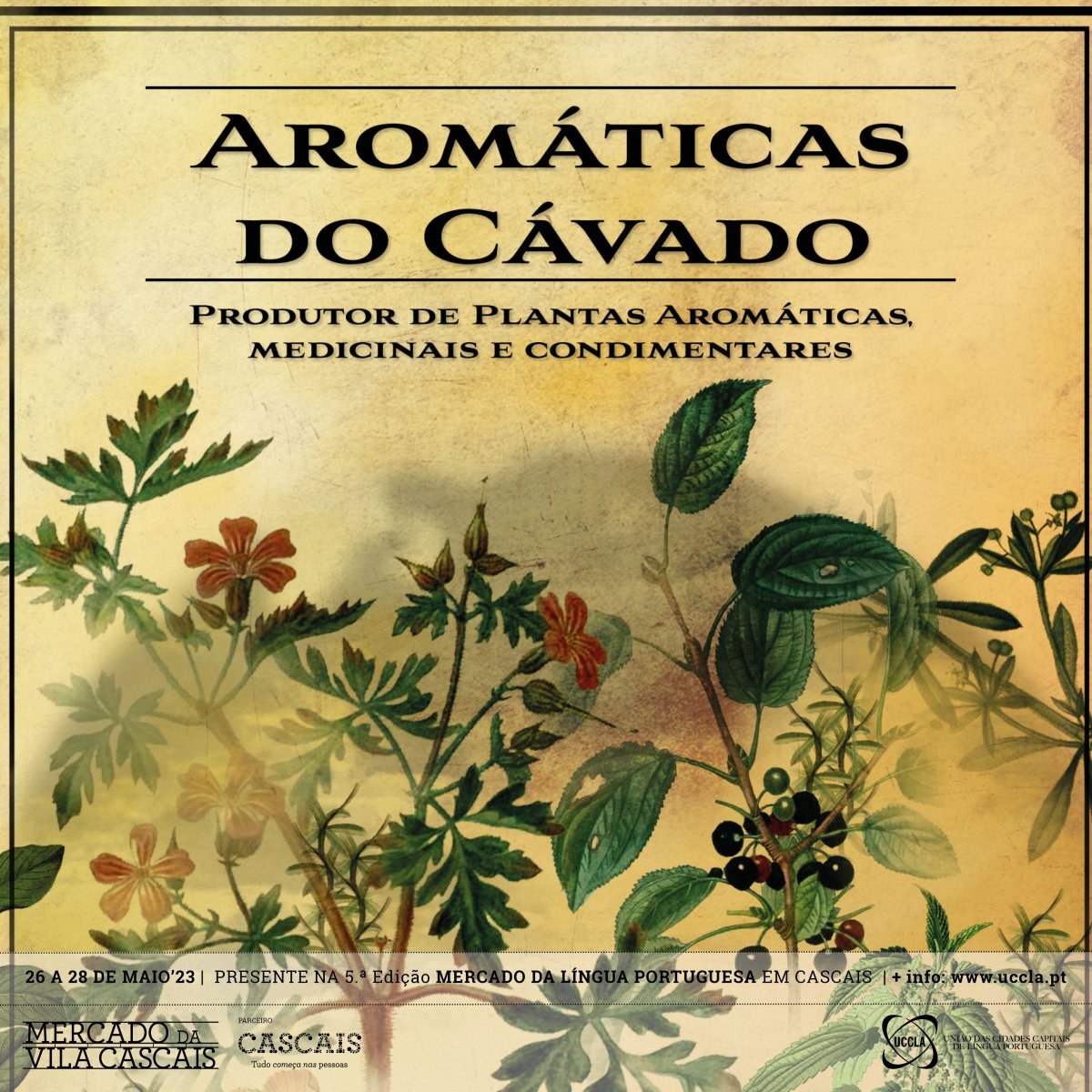 aromaticas do cavado_Presente no MLP em cascais 2023