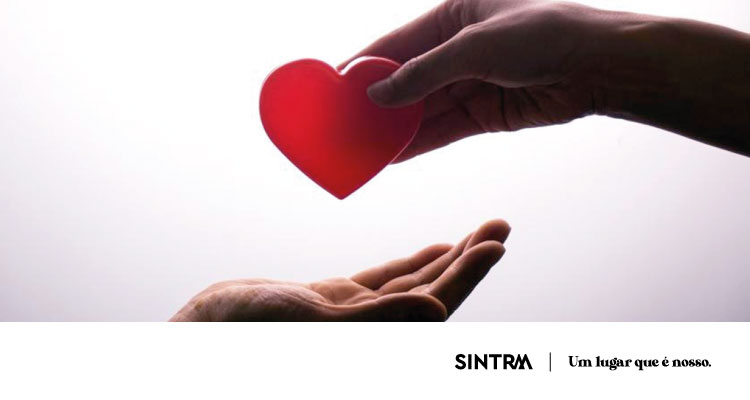 Colheita de sangue - Sintra