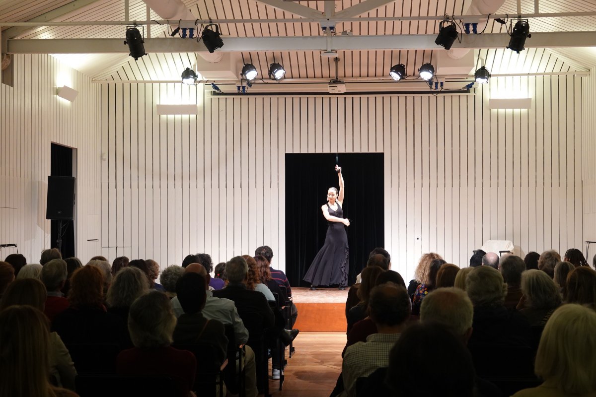 Fado Bailado_DSC05362