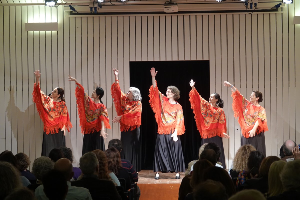 Fado Bailado_DSC05374
