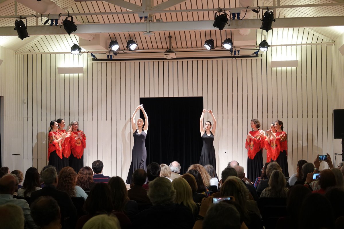 Fado Bailado_DSC05407
