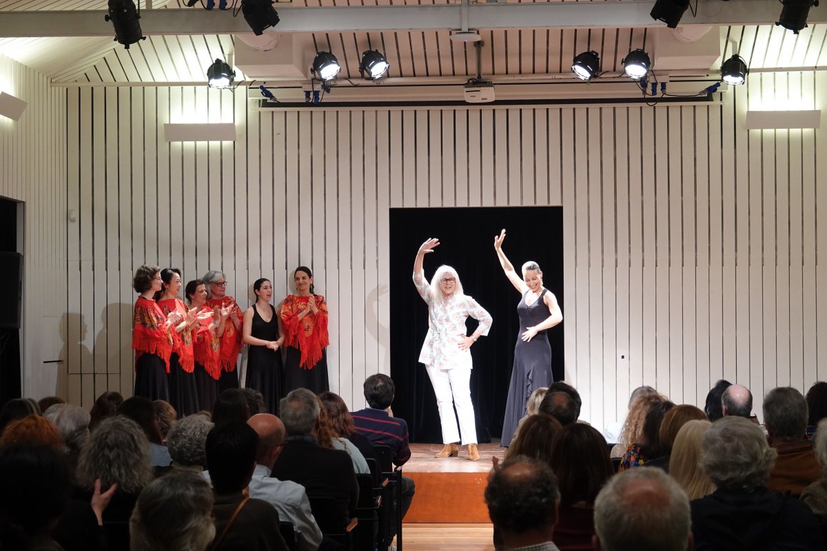 Fado Bailado_DSC05428