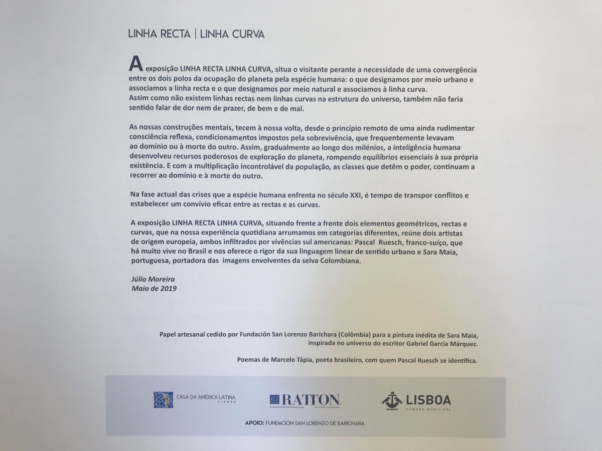 Linha Recta Linha Curva_9268