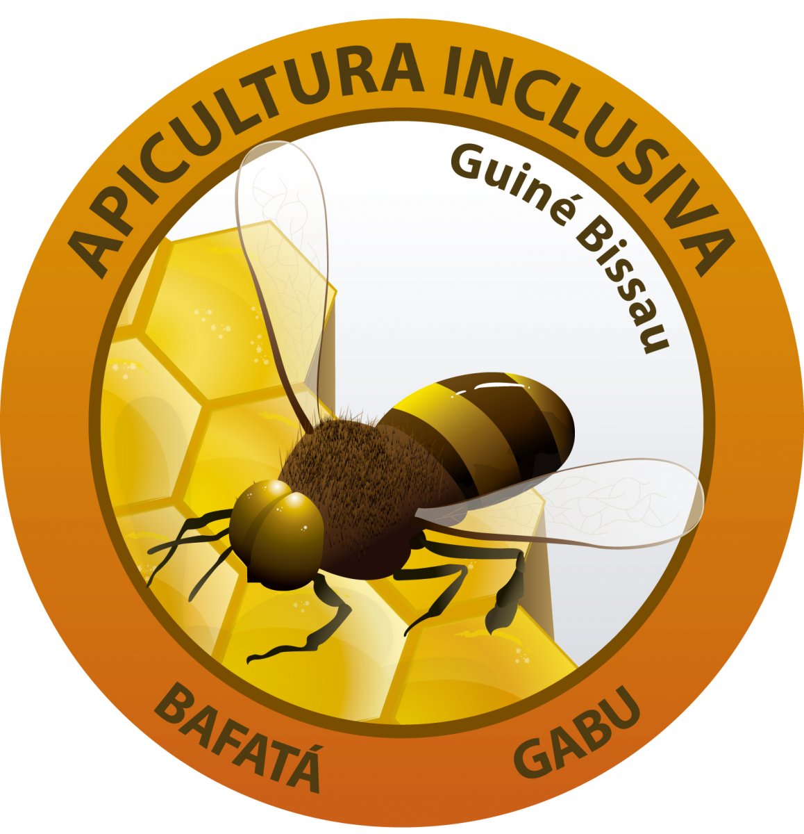 Projeto Promover a Apicultura Inclusiva no Leste da Guiné-Bissau 