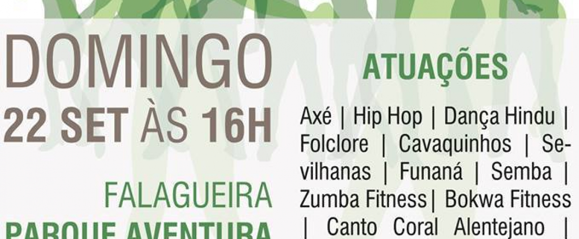 VII Festival Intercultural Falagueira