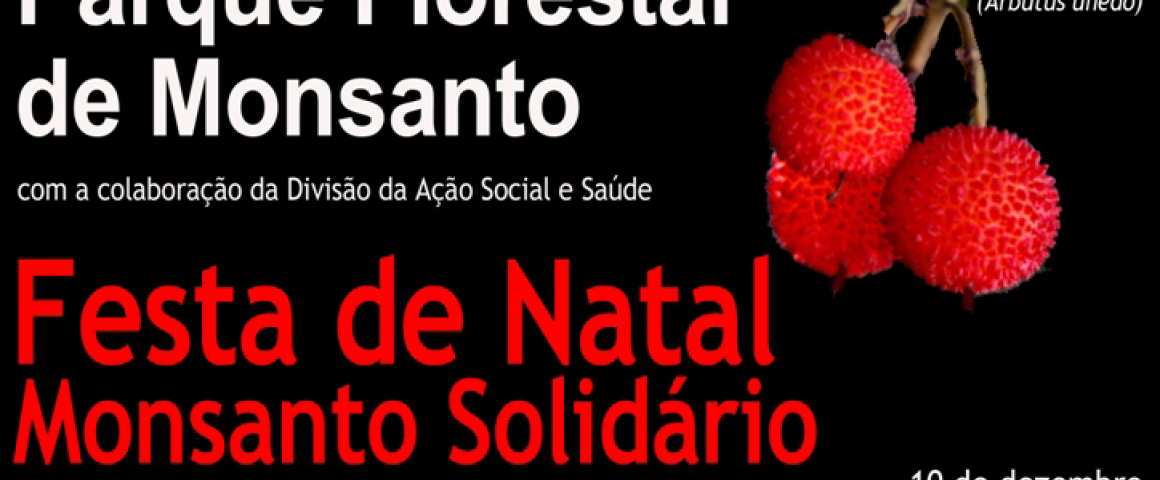 Festa de Natal Monsanto Solidário