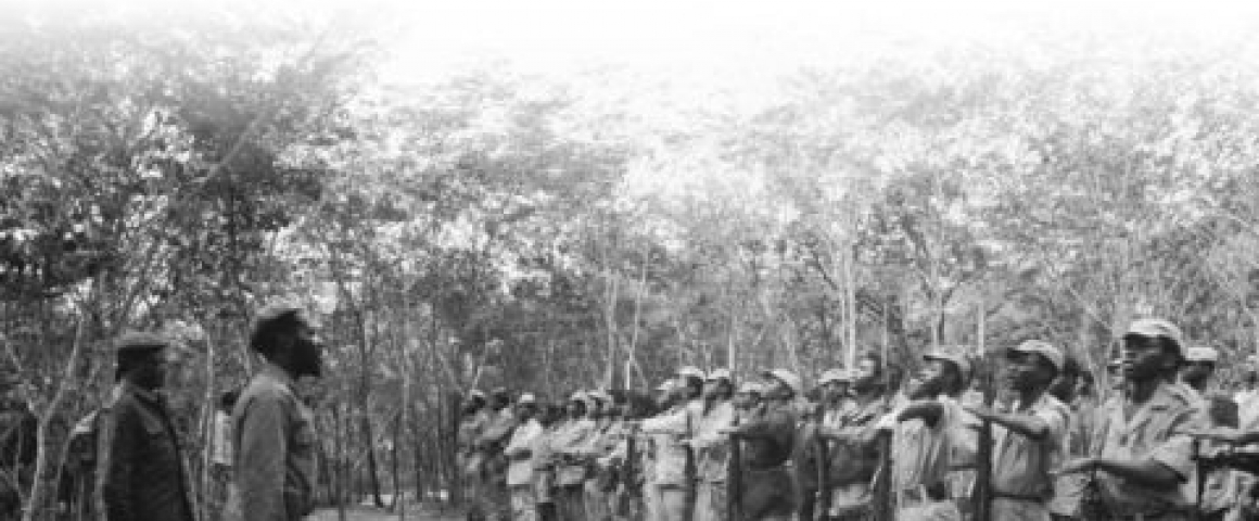 Lançamento do livro "ANGOLA, o nascimento de uma nação - Volume II - O cinema da libertação"