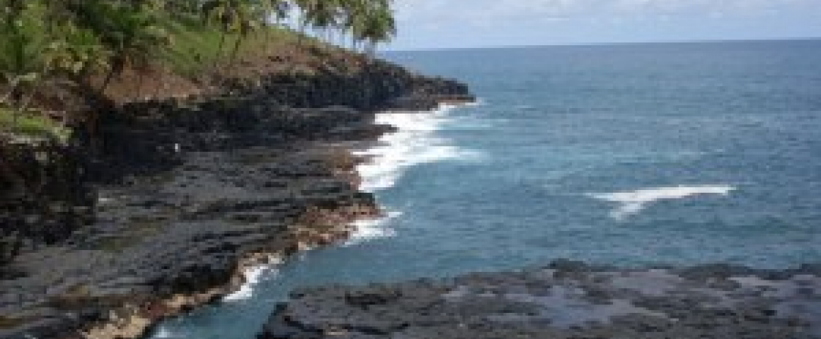 Workshop de gastronomia de São Tomé e Príncipe