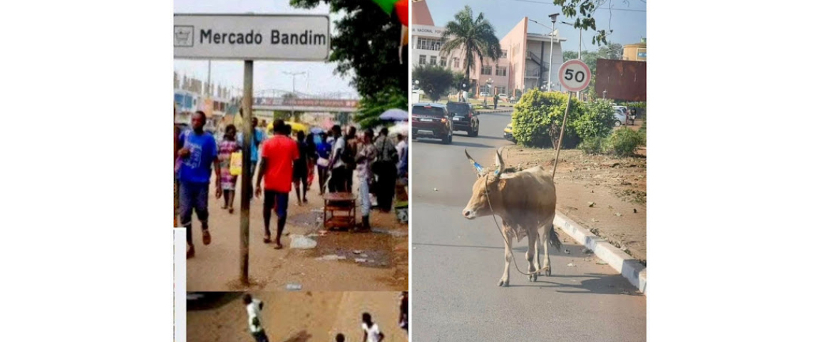 Câmara Municipal de Bissau estabelece novas disposições para a cidade