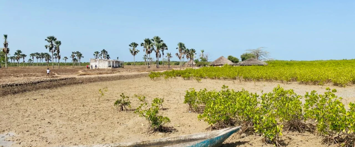 PNUD e Governo da Guiné-Bissau promovem formação sobre adaptação climática