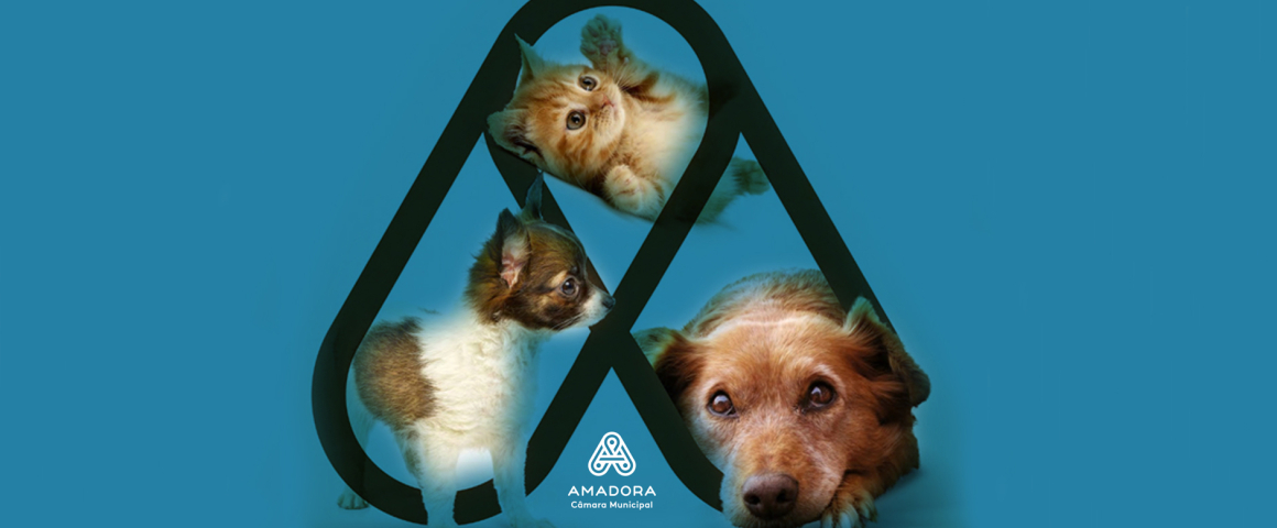 Amadora lança Cheque Veterinário para apoiar famílias com animais de companhia