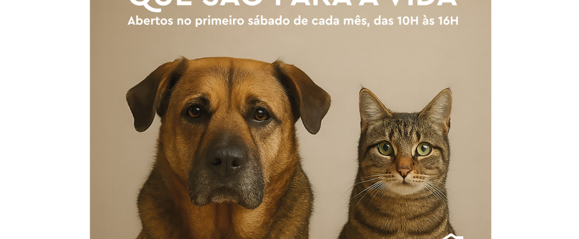 Sítio dos Animais de Sintra