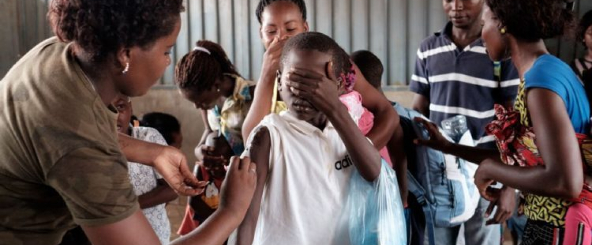 Angola lança nova fase da vacina contra a febre-amarela