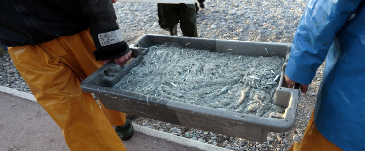 Nações Unidas financia projeto de pesca em Angola
