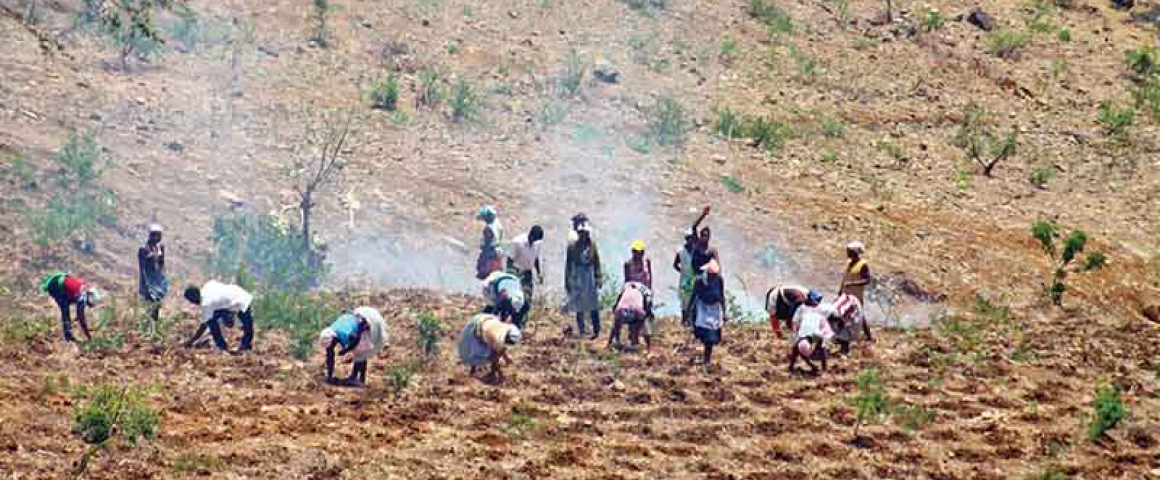 Cabo Verde lança Projeto de Adaptação da Agricultura Familiar às Mudanças Climáticas