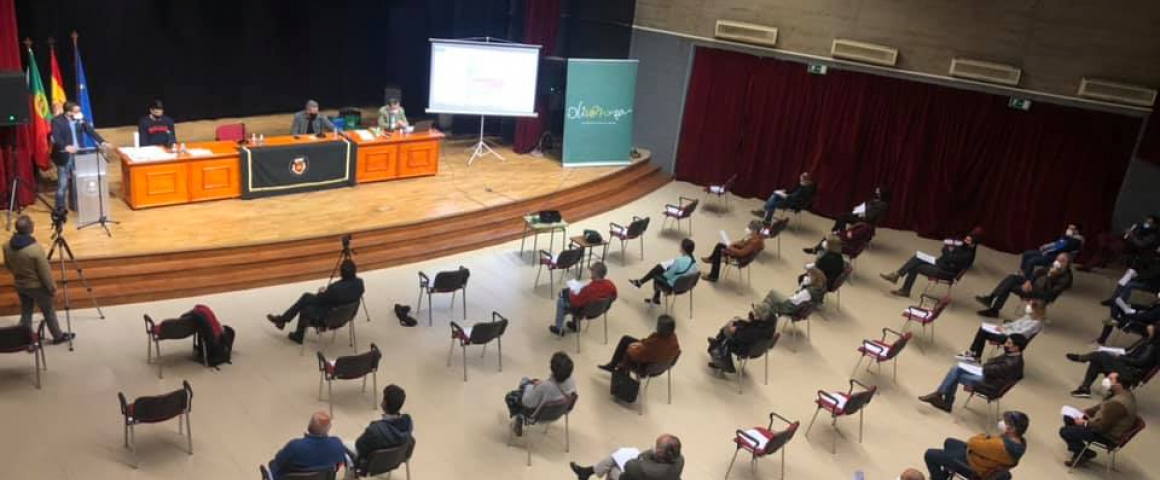 Oliventin@s receberam nacionalidade portuguesa numa jornada técnica em torno da lusofonia