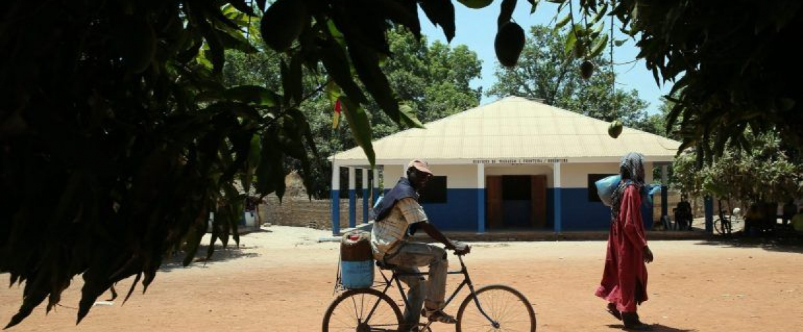 Guiné-Bissau organiza Congresso da Educação Ambiental da CPLP