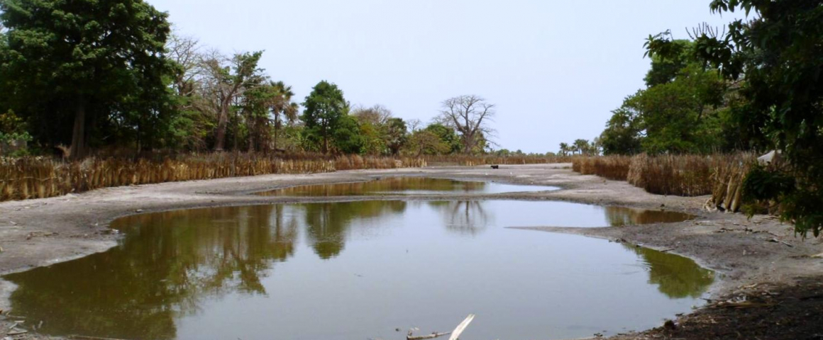 Construção de um Parque Urbano em Bissau