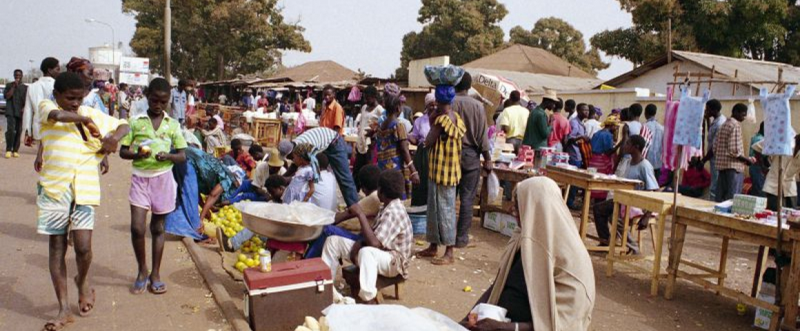 Criação de Agência de Promoção de Investimentos na Guiné-Bissau