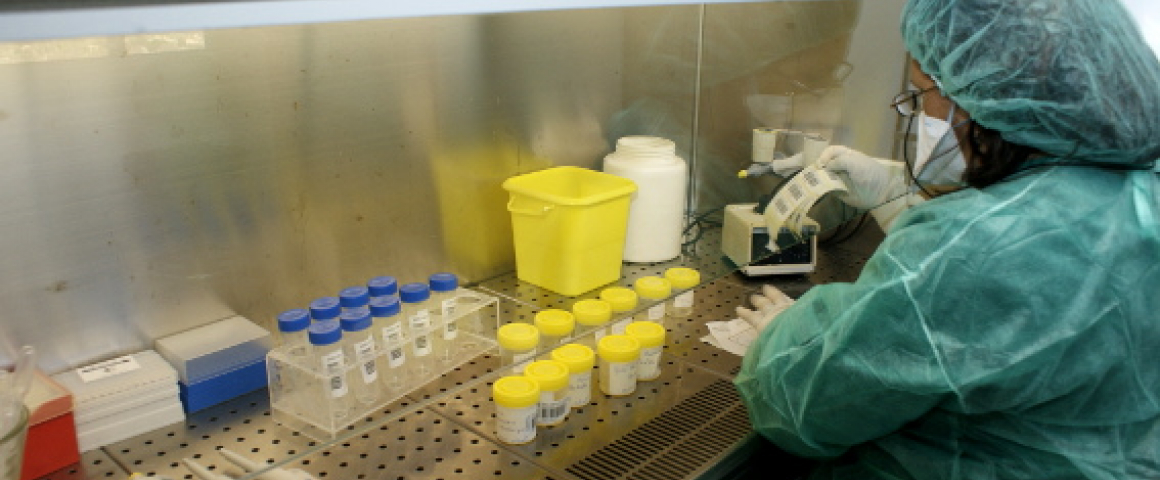 Novo laboratório de saúde pública na Guiné-Bissau