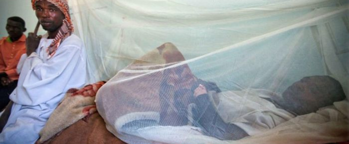 Guiné-Bissau distribui redes mosquiteiras contra o paludismo