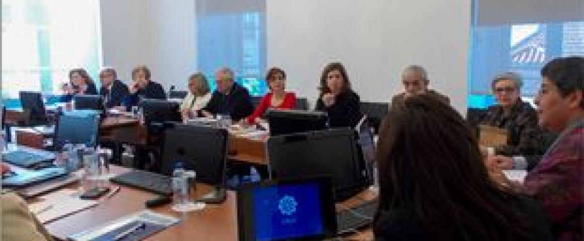 UCCLA participou na reunião da Comissão Temática de Educação dos Observadores Consultivos
