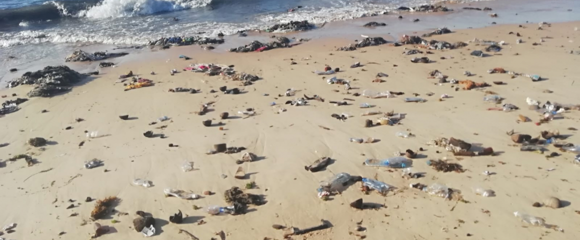 Aprovado projeto “Solução Participada para Plásticos Marítimos” na Ilha de Moçambique
