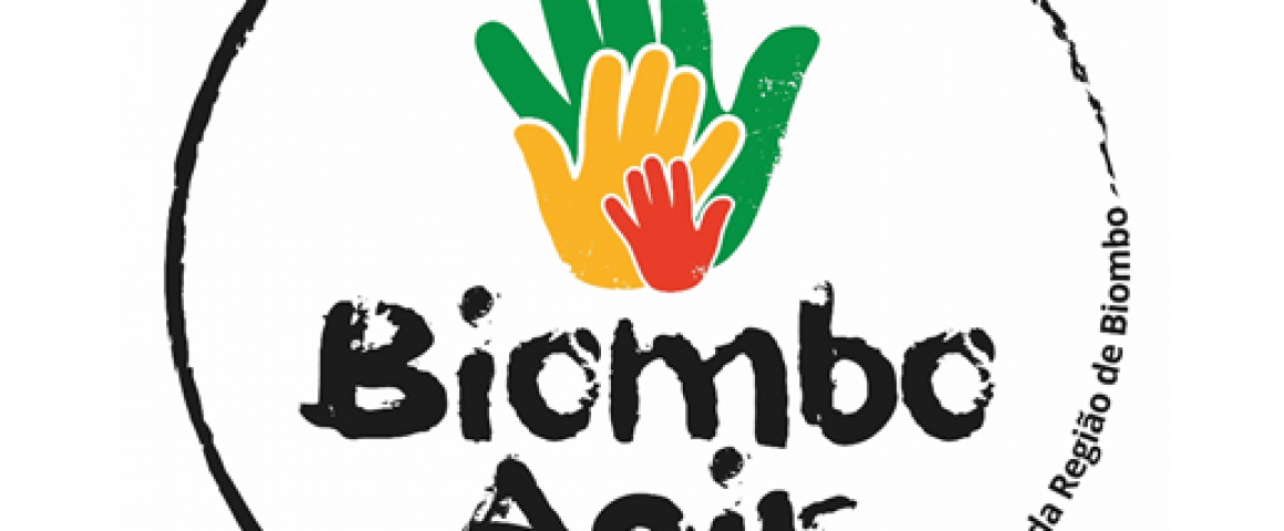 Projeto Biombo, Agir! -  Agir em parceria para o desenvolvimento da Região de Biombo