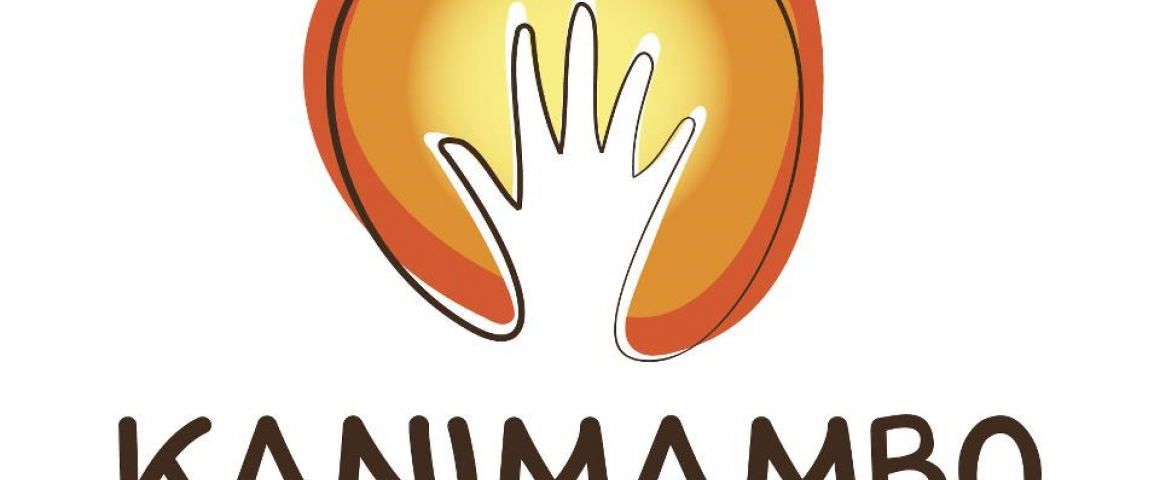 Campanha de Natal da Missão Kanimambo