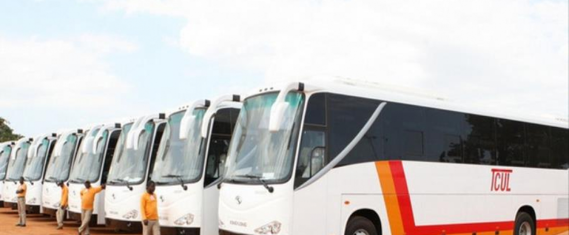 Luanda com novas rotas de transporte público