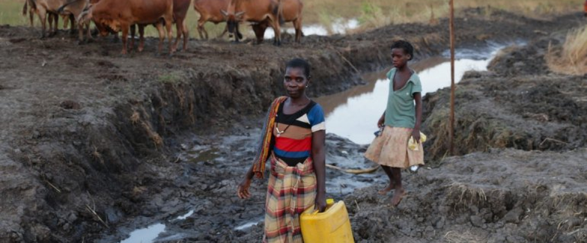 Construção de estradas nas zonas rurais em Moçambique