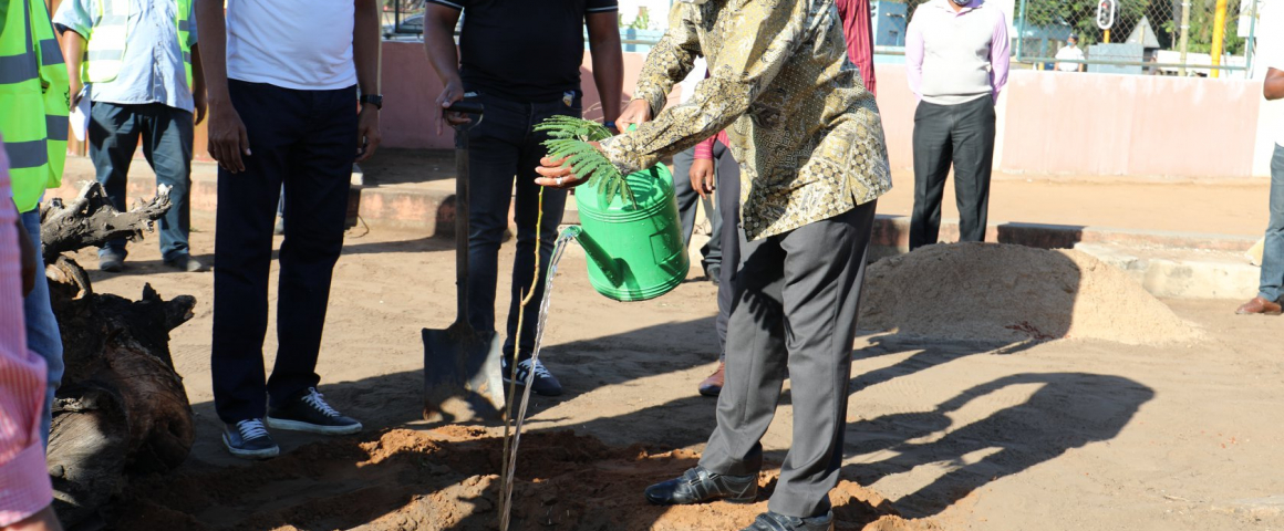 Maputo assinala Dia Internacional da Biodiversidade