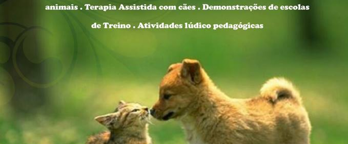 Feira Animal em Oeiras