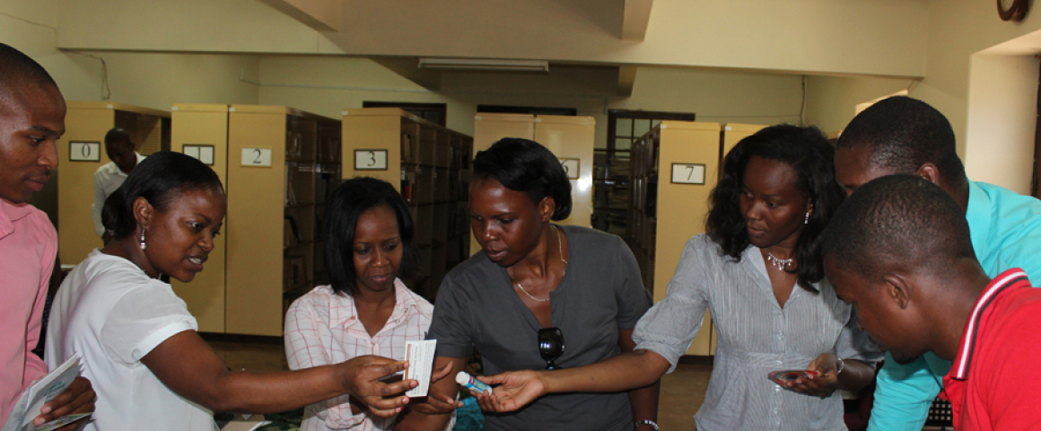 UCCLA inicia em Maputo programa de implementação do projeto LER