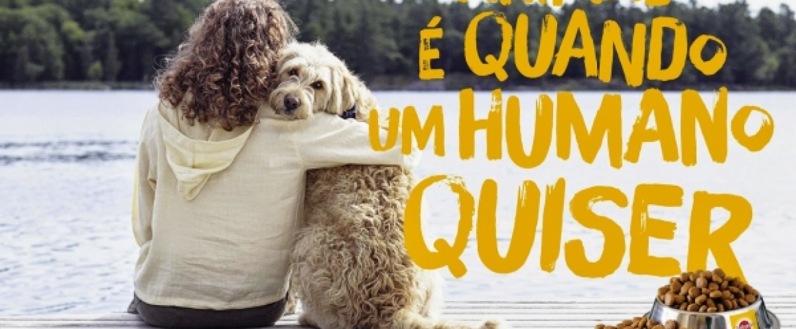 Cascais celebra Dia Mundial do Animal com inúmeras iniciativas