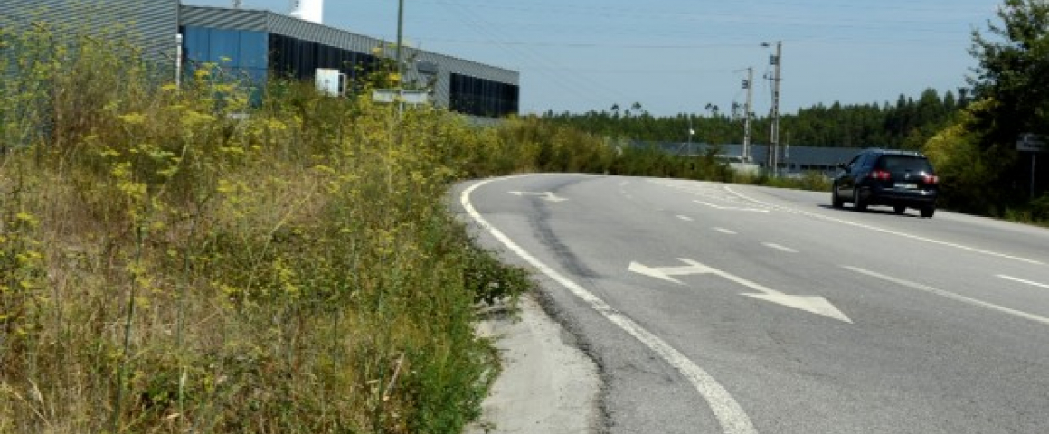 Guimarães cria plano para limpar Rede Viária Municipal