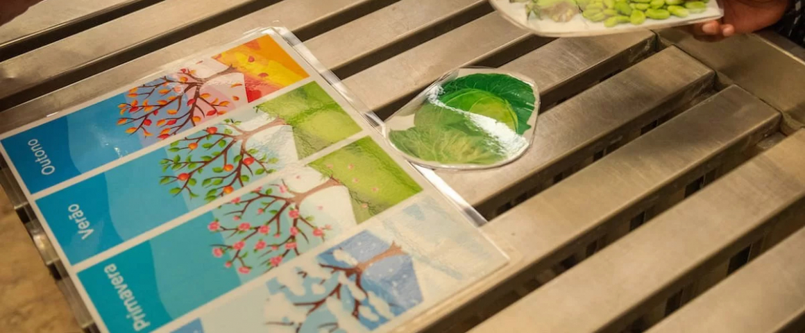 Programa inovador em Lisboa apoia alunos desfavorecidos