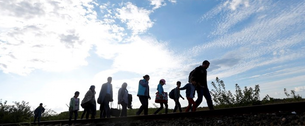 Sintra cria bolsa para apoio a refugiados