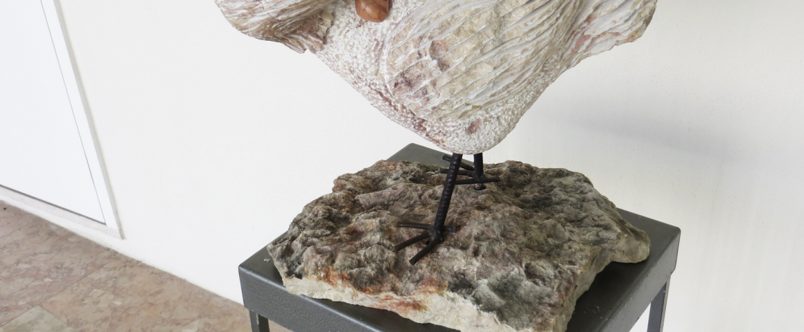 Exposição “Artistas Unidos contra a Fome” na UCCLA