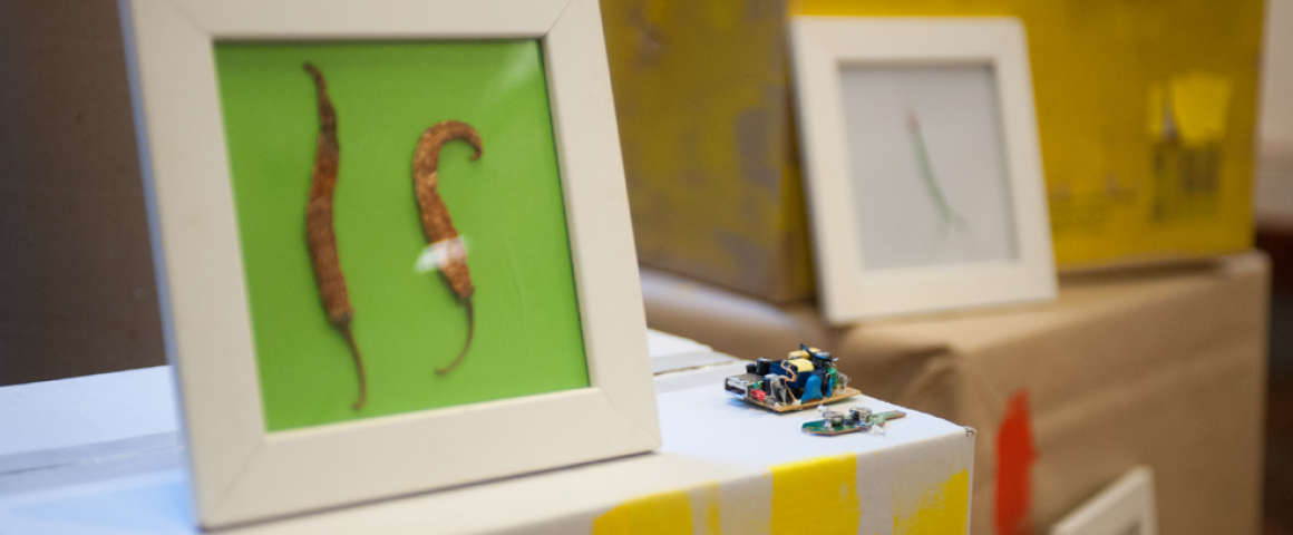 Festival TODOS 2013 – Workshop para Famílias