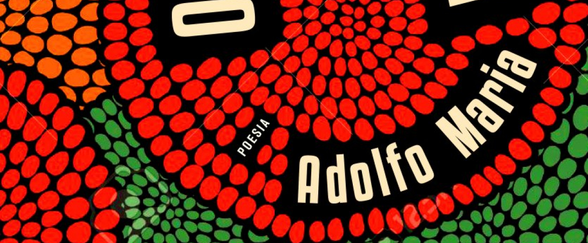 Lançamento do livro “O Que Falta” de Adolfo Maria na UCCLA