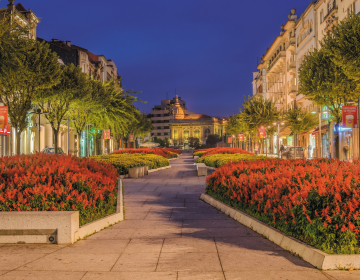 Braga
