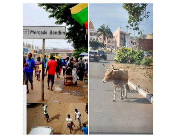 Câmara Municipal de Bissau estabelece novas disposições para a cidade