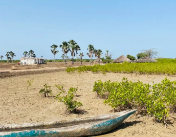 PNUD e Governo da Guiné-Bissau promovem formação sobre adaptação climática