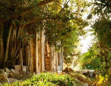 Criação do Jardim Botânico de Luanda