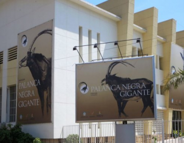 Reabertura do Museu de História Natural de Angola
