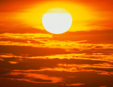 Lisboa lança campanha de prevenção de ondas de calor