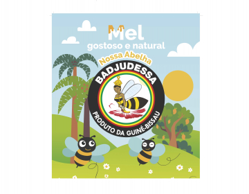 Projeto Promover a Apicultura Inclusiva no Leste da Guiné-Bissau 