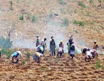 Cabo Verde lança Projeto de Adaptação da Agricultura Familiar às Mudanças Climáticas