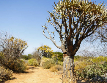 União Europeia formaliza apoio financeiro para a seca em Cabo Verde
